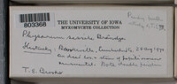 Image Associated With the Occurence